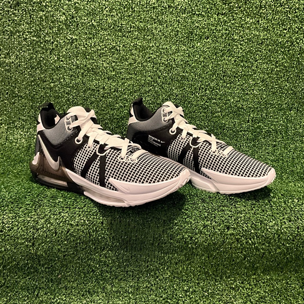 LeBron Witness VII